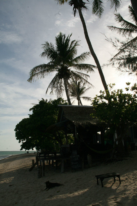 palm beach... everywhere actually ;)