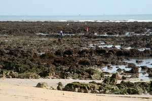 our beach at low tide...