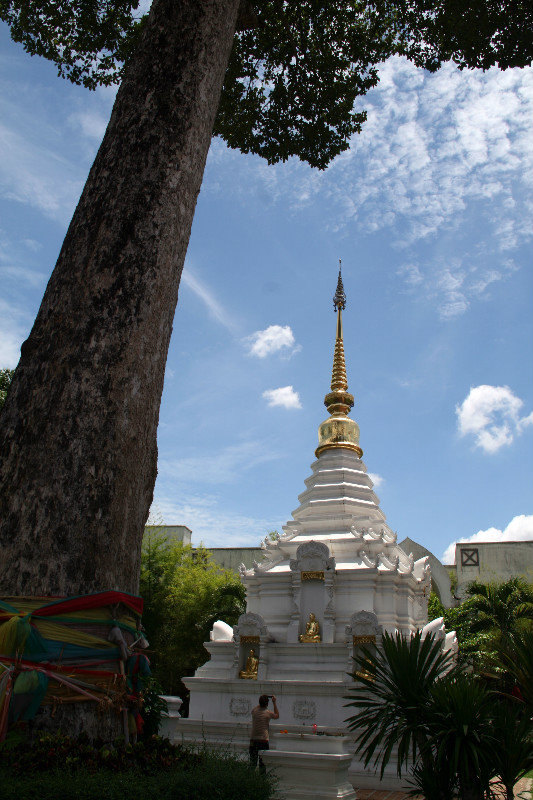 nice stupa at Chedi Luang