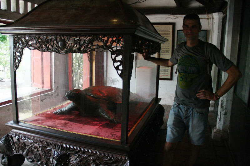 turtle mummy at the temple on Hoan Kiem Lake 