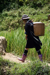 Hmong girls walking with us again...