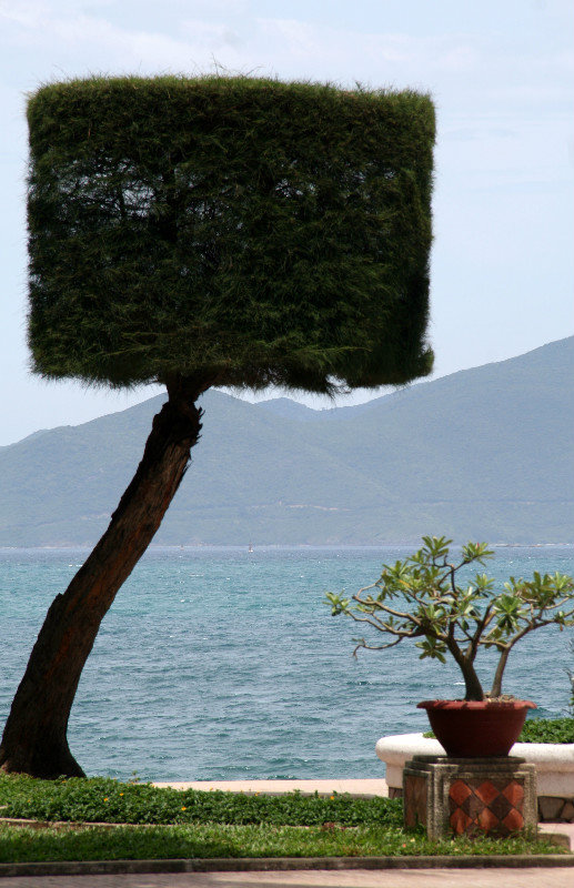 quite unusual topiary in Nha Trang...