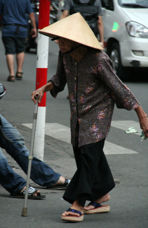 one of many inhabitants of Ho Chi Minh City
