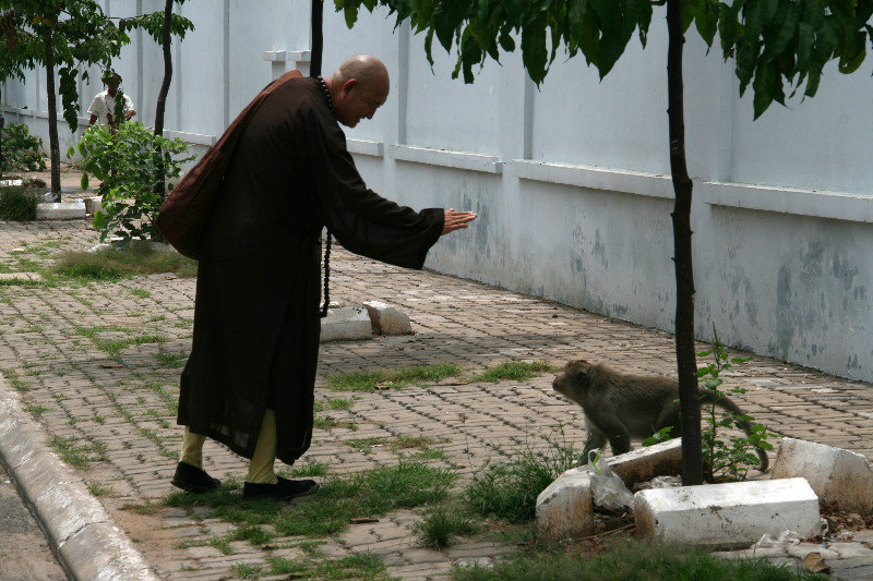 monkey getting a blessing?