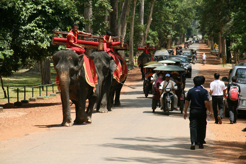 traffic at Angkor Thom