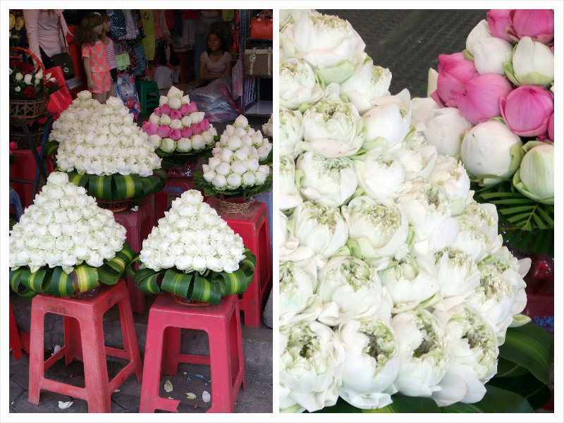 at the market, beautiful lotus flowers
