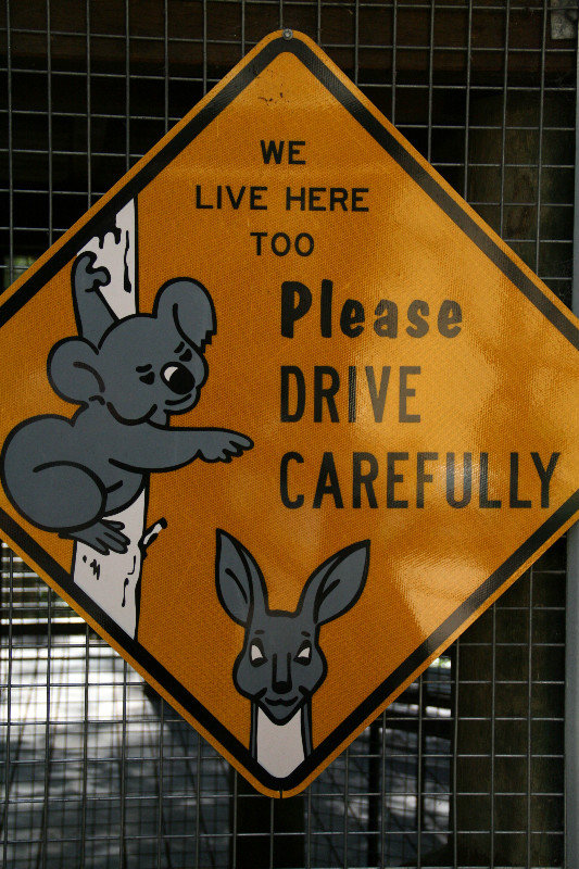 a road sign at Daisy Hill - since then I've spotted quite a few of these on the roads as well...
