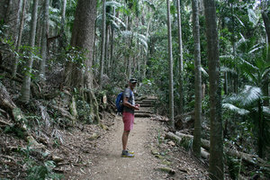 starting our hike up Mount Warning
