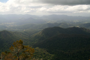 beautiful view from Mount Warning