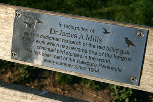 loved this! here and there benches with little tributes to local people...