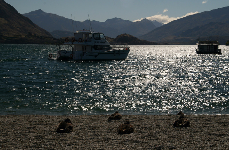 A stroll by the lake in Wanaka