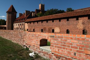 More newly renovated parts of the Castle in Malbork... and a cat!