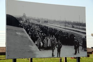 One of the famous pictures of Birkenau...