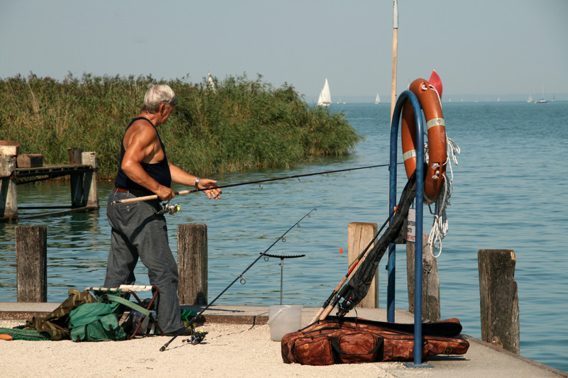 Balaton fishing