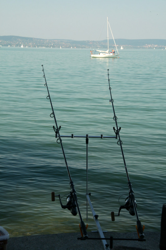 More Balaton fishing...