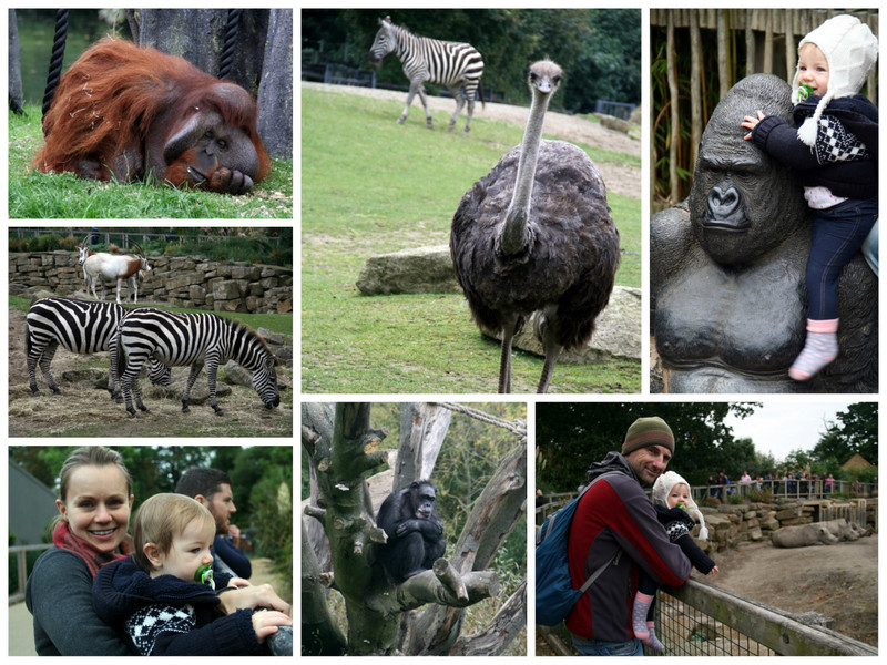 A day at the Dublin zoo
