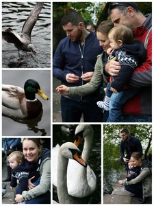 An afternoon at one of the parks in Dublin