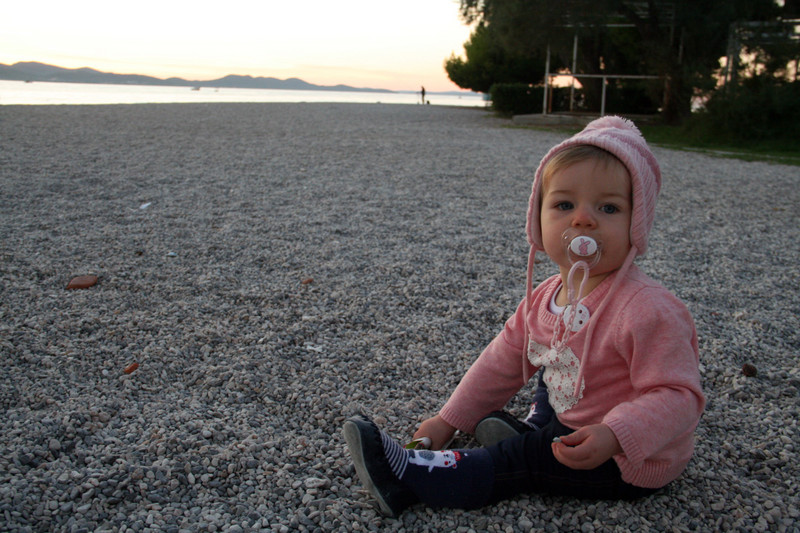 Millie enjoying the sunset in Zadar