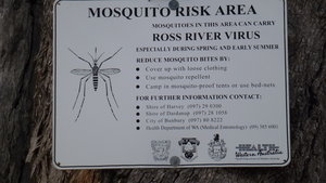 Mosquito Warning