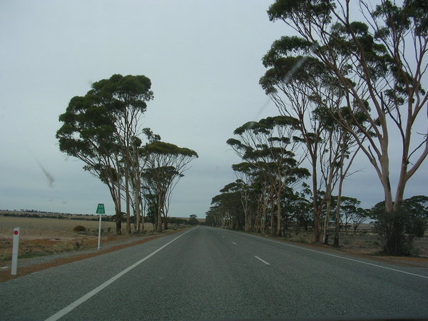 On our way to the Nullarbor 3