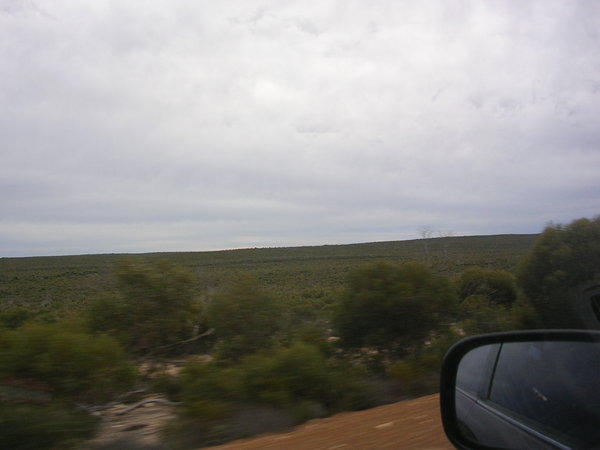 On our way to the Nullarbor 5
