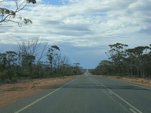 Early Nullarbor Road View