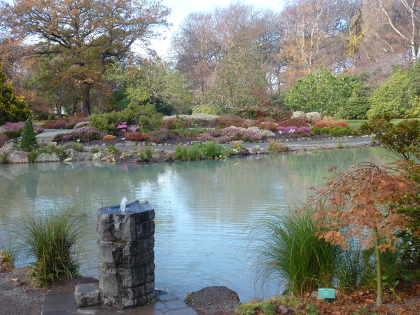 Autumn in the Botanic Gardens