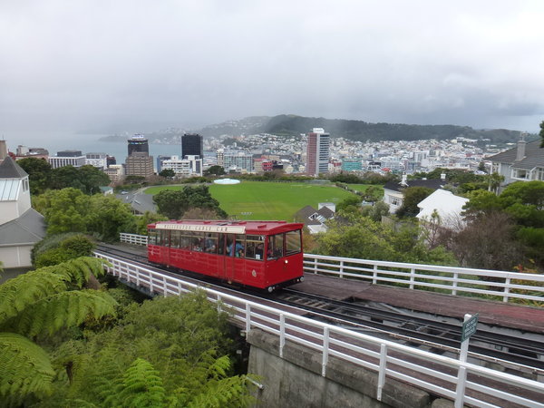 Wellington City from the Botanic Garden