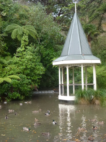 Ducks in the Botanic Garden
