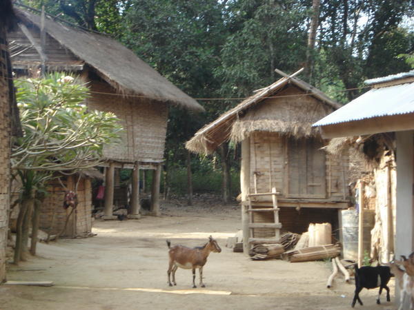 Kmu Village 