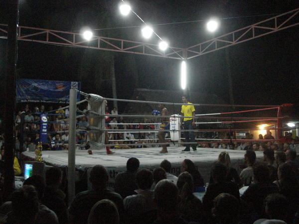 Muay Thai boxing 