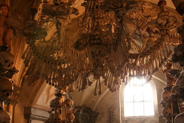 Bone chandelier
