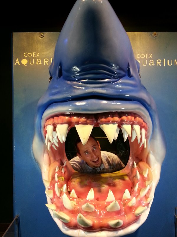 COEX Aquarium Shark Attack