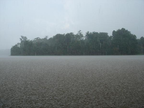 When it rains in a rainforest, it REALLY rains!