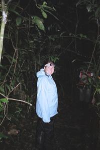 What's lurking in the jungle at night?
