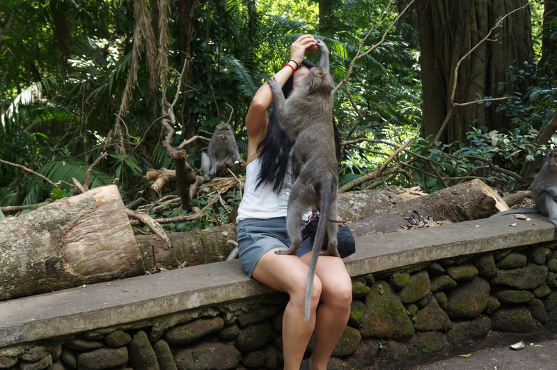 Feeding the monkey!