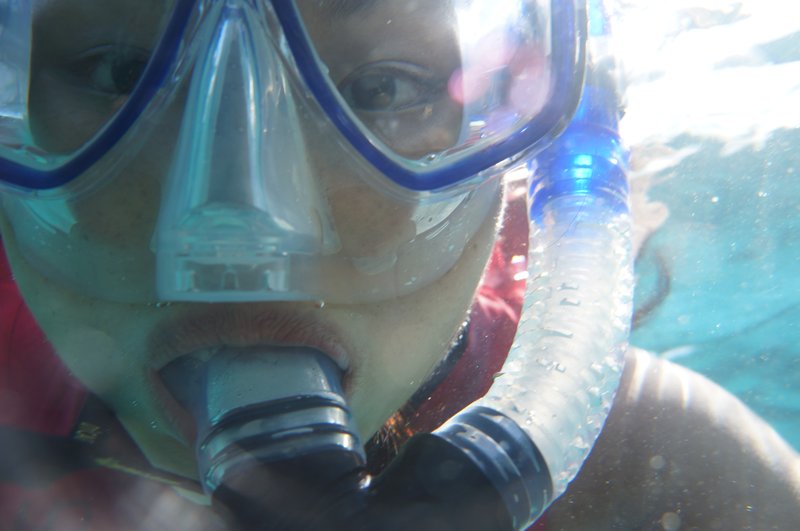 YES! I'm snorkeling in the the Great Barrier Reef!