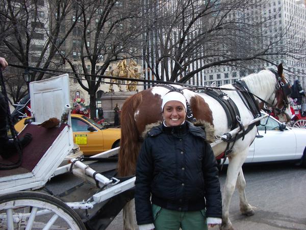 Romantic carriage ride in Central park...