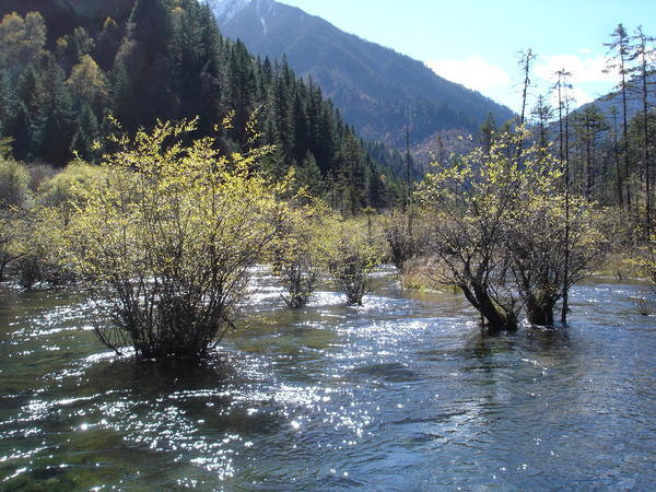 Jiuzhaigou Nature Reserve