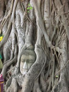 Temple of Wat Phra, Buddha head