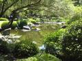 Chinese garden in Botanical gardens