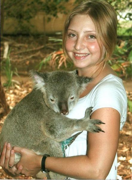 Koala, Lone Pine, Brisbane