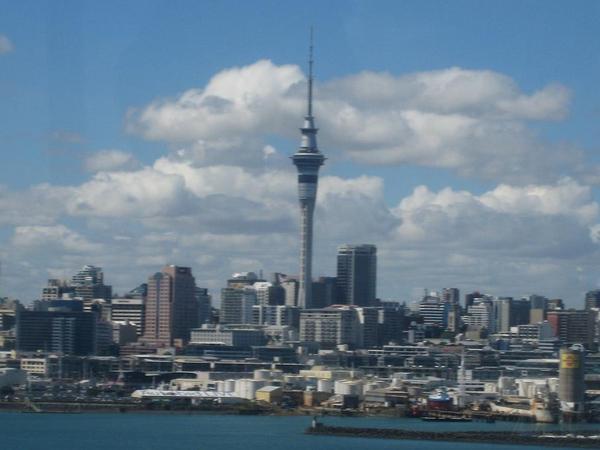 Auckland Horizon
