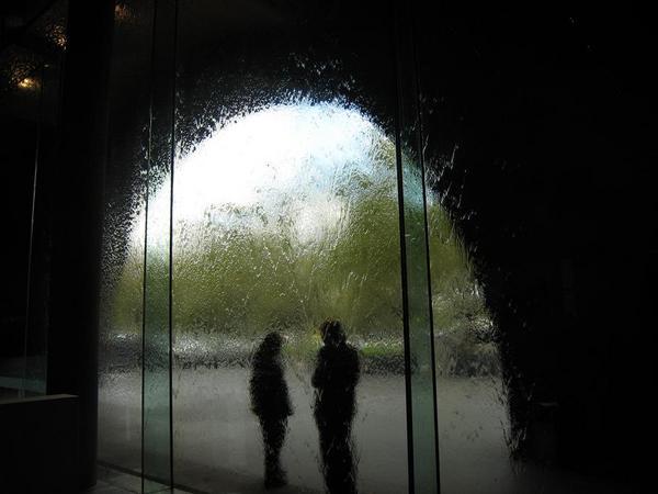 NGV: famous water window