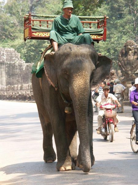 Man riding elephant on bridge leading to Victory Gate