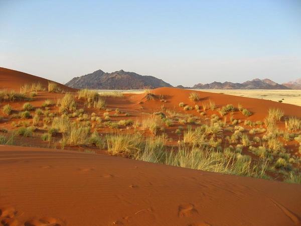 View over the dunes in Sossusvlei, Namibia