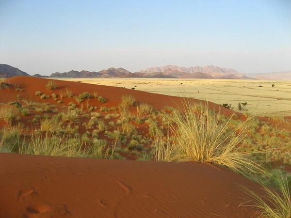 View over the dunes in Sossusvlei, Namibia