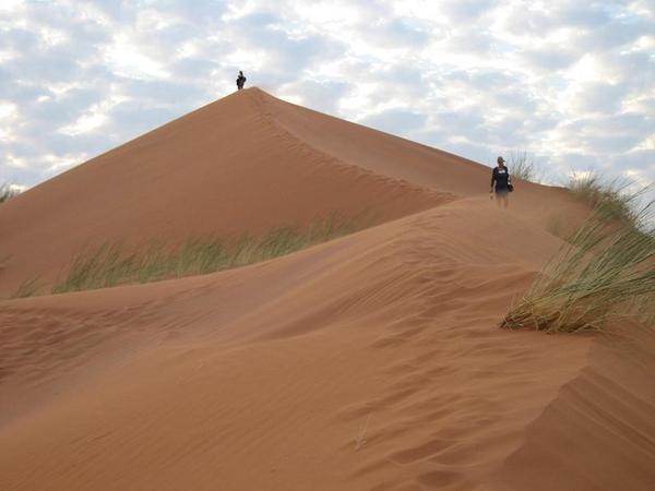 F off sand dune, Sossusvlei