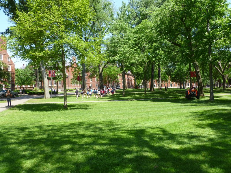 Harvard Square 9