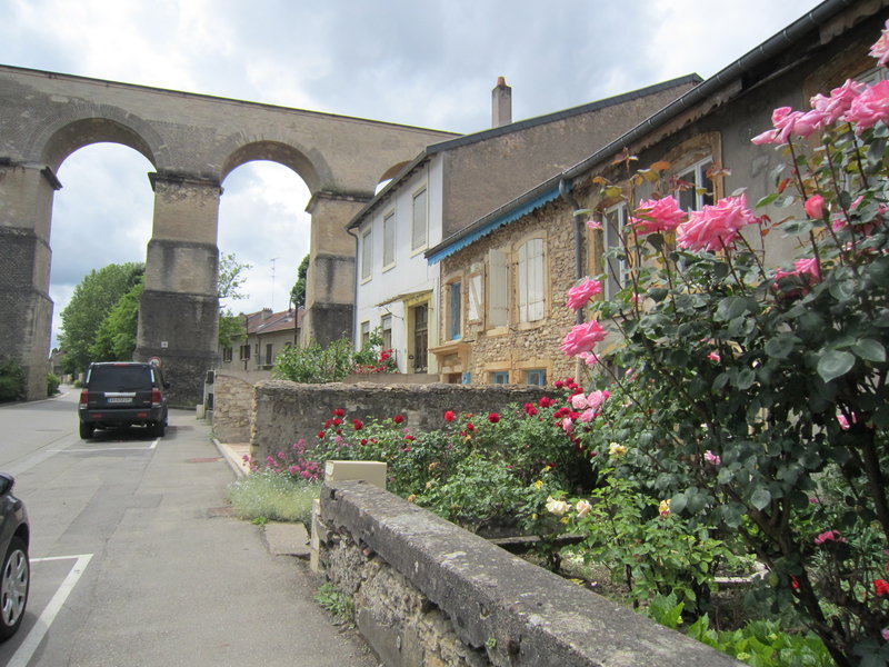 Roman aqueduct and roses